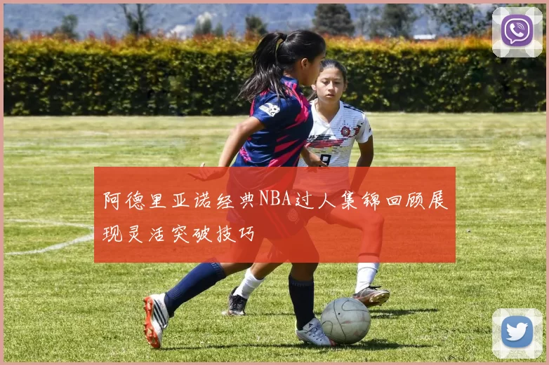 阿德里亚诺经典NBA过人集锦回顾展现灵活突破技巧