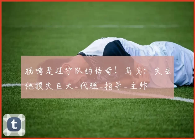 杨鸣是辽宁队的传奇!乌戈:失去他损失巨大_代理_指导_主帅