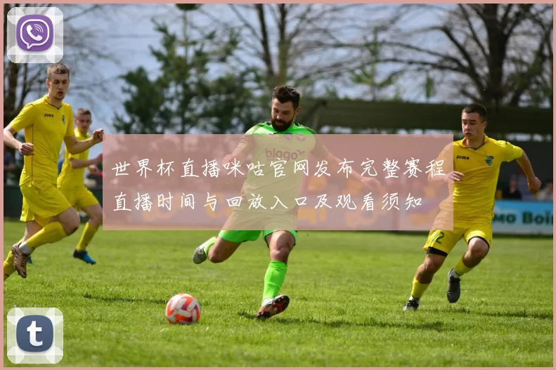 世界杯直播咪咕官网发布完整赛程直播时间与回放入口及观看须知