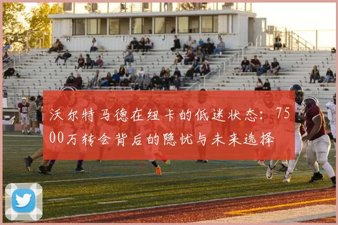 沃尔特马德在纽卡的低迷状态:7500万转会背后的隐忧与未来选择