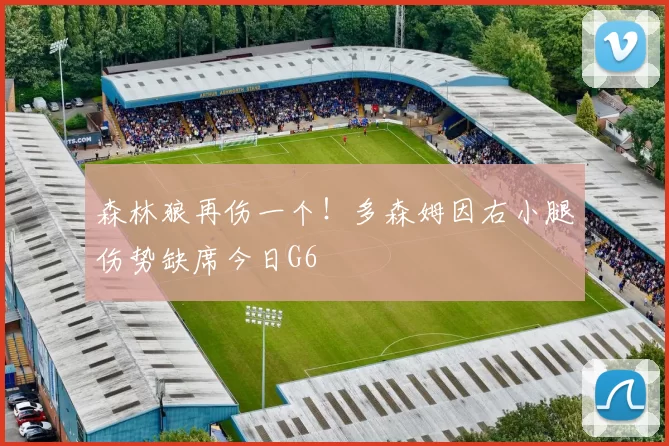 森林狼再伤一个！多森姆因右小腿伤势缺席今日G6