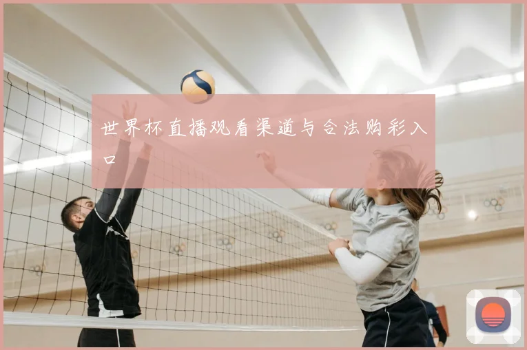 世界杯直播观看渠道与合法购彩入口
