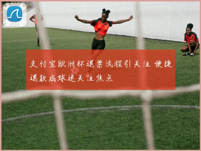 支付宝欧洲杯退票流程引关注 便捷退款成球迷关注焦点