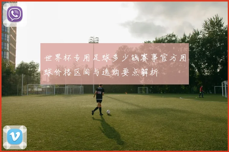 世界杯专用足球多少钱赛事官方用球价格区间与选购要点解析
