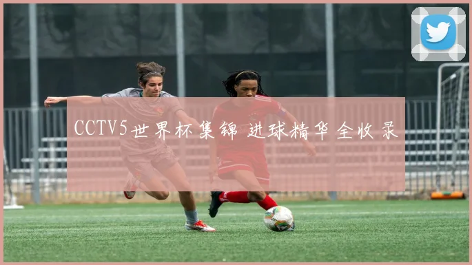 CCTV5世界杯集锦 进球精华全收录