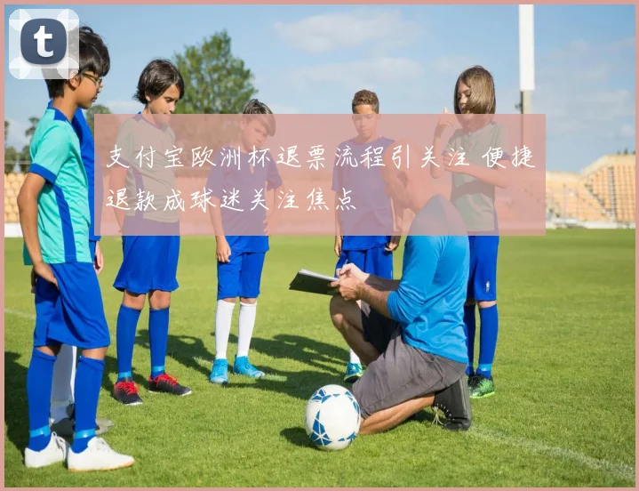 支付宝欧洲杯退票流程引关注 便捷退款成球迷关注焦点