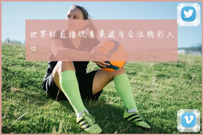 世界杯直播观看渠道与合法购彩入口